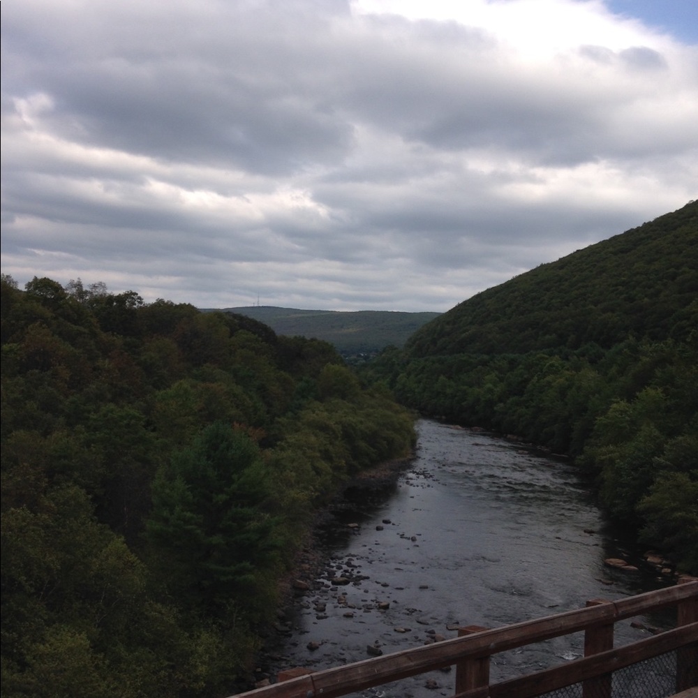 Meet your Posher, Amelia